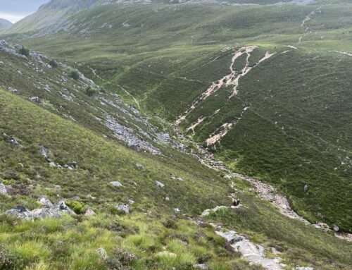 Cairngorms Nationalpark