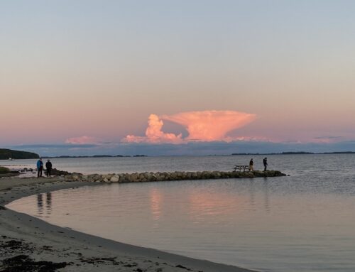 Hjarnø og Alrø