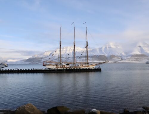 Livet på Svalbard