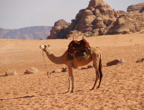 Wadi Rum