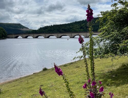 Ladybower