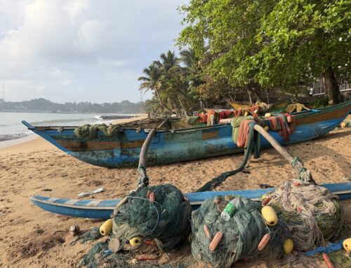Tangalle – fem dage mellem arbejde, bølger og hverdagsliv