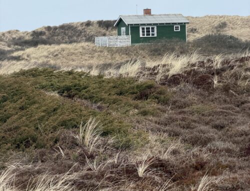 Påskevandring ved Vesterhavet: Fra Slettestrand til Blokhus – dag 1