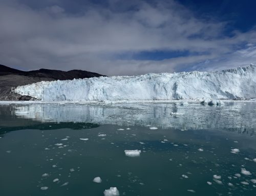 Eqi Glacier Lodge – den vildeste gletsjeroplevelse i Grønland