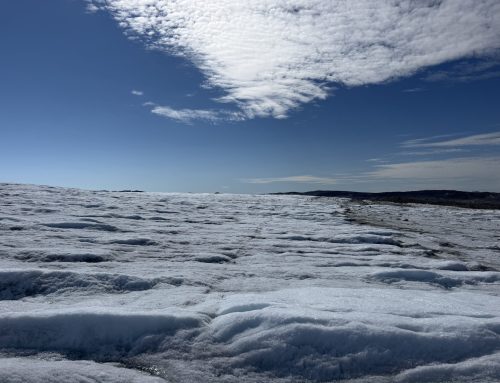 Vandretur til Indlandsisen fra Eqi Glacier Lodge
